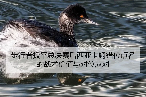 步行者扳平总决赛后西亚卡姆错位点名的战术价值与对位应对（j9 game）